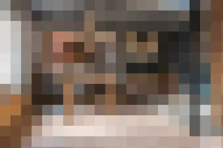 Sluiskade 3 Musselkanaal thumbnail 16