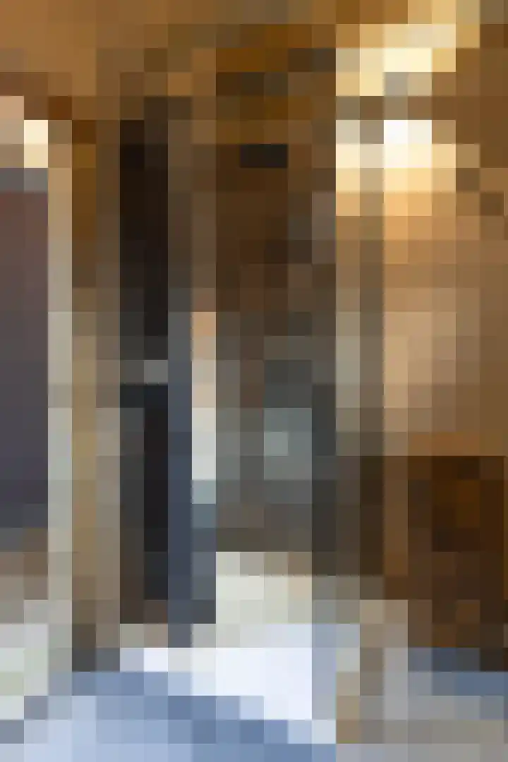 Sluiskade 3 Musselkanaal thumbnail 31