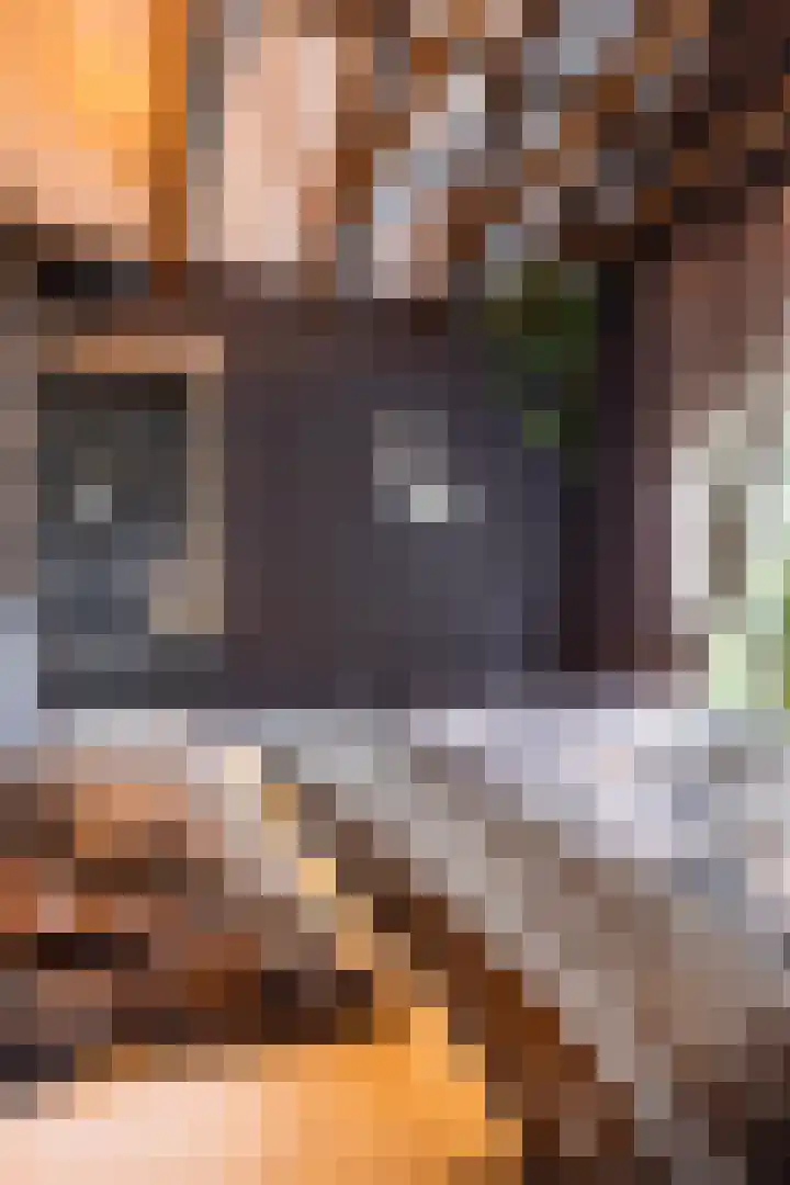Sluiskade 3 Musselkanaal thumbnail 37