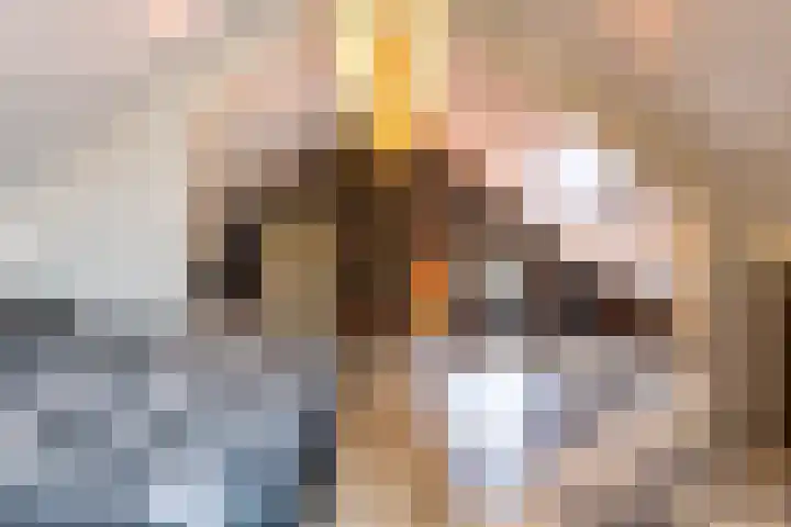 Sluiskade 3 Musselkanaal thumbnail 44