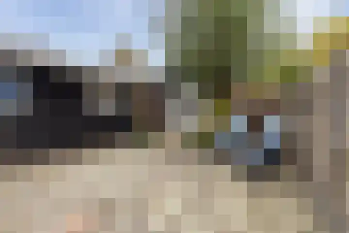 Sluiskade 3 Musselkanaal thumbnail 56