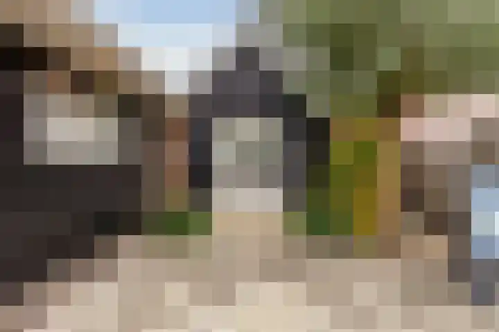 Sluiskade 3 Musselkanaal thumbnail 57