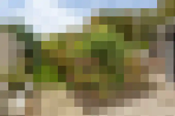 Sluiskade 3 Musselkanaal thumbnail 61