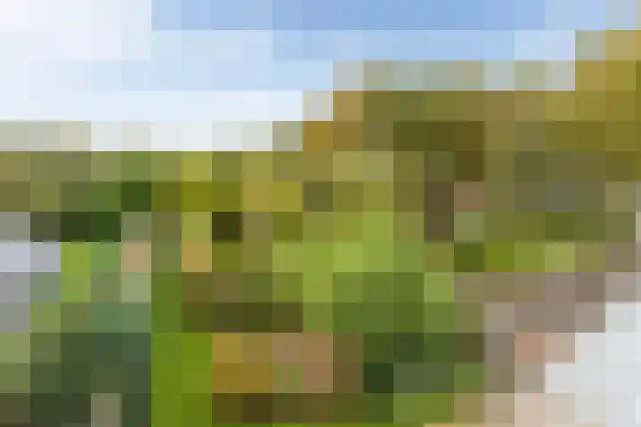 Sluiskade 3 Musselkanaal thumbnail 62