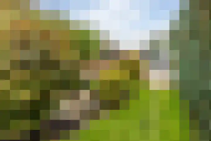 Sluiskade 3 Musselkanaal thumbnail 63