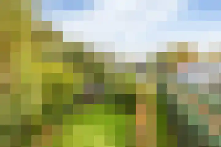 Sluiskade 3 Musselkanaal thumbnail 65