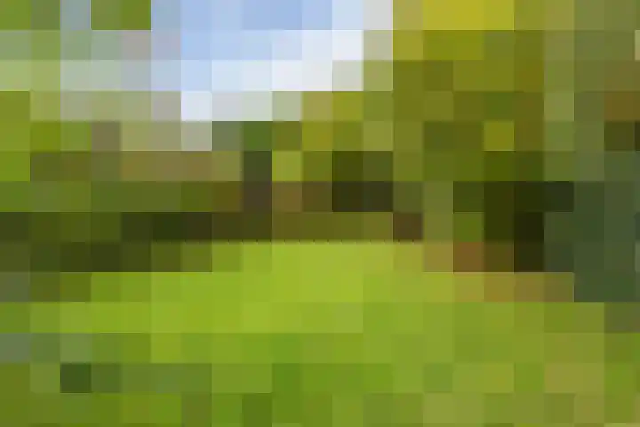 Sluiskade 3 Musselkanaal thumbnail 66