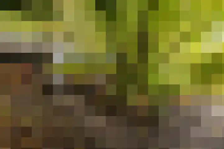 Sluiskade 3 Musselkanaal thumbnail 68