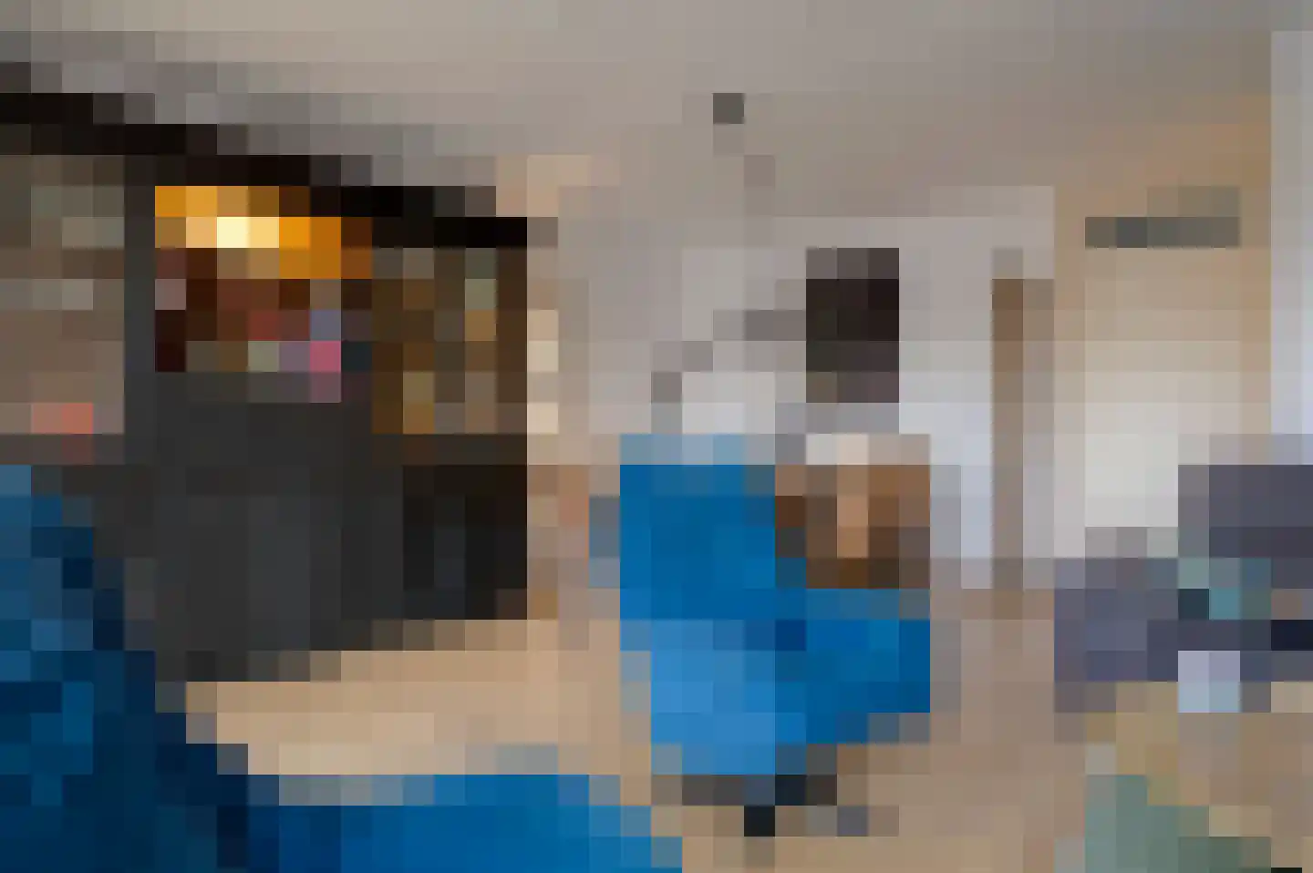 Sluiskade 41 f Hoogezand thumbnail 28