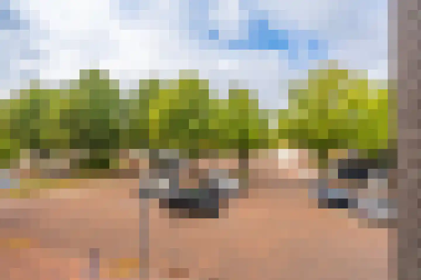 Sluiskade 41 g Hoogezand thumbnail 42