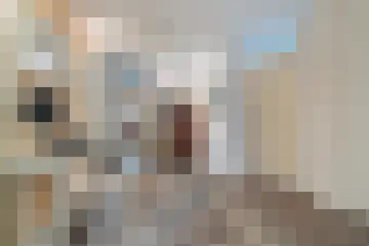 Sluiskade 56 Hoogezand thumbnail 23
