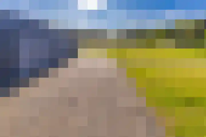 Sluiskade 63 Musselkanaal thumbnail 41