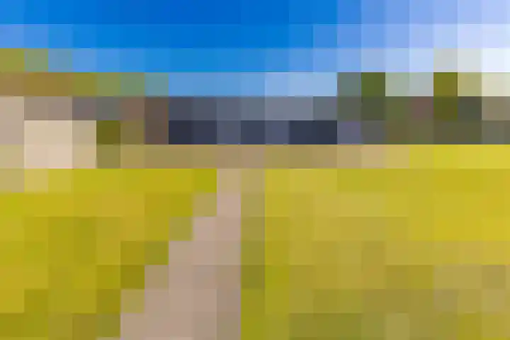 Sluiskade 63 Musselkanaal thumbnail 42