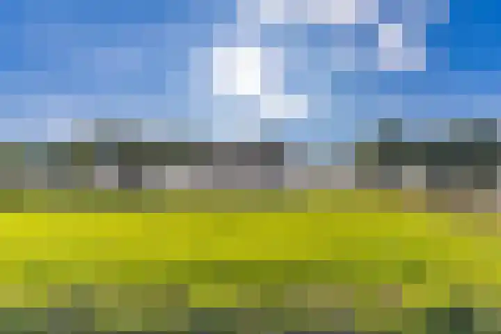 Sluiskade 63 Musselkanaal thumbnail 44
