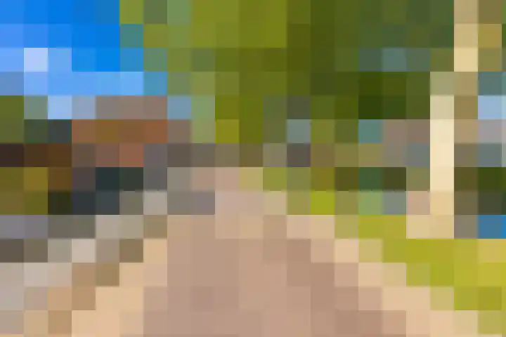 Sluiskade 63 Musselkanaal thumbnail 6