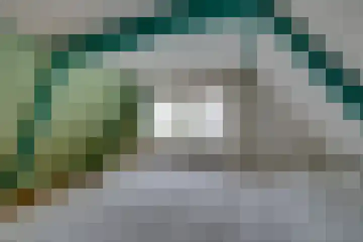 Sluiskade 7 West-Graftdijk thumbnail 30