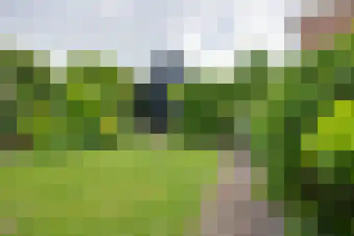 Sluiskade 7 West-Graftdijk thumbnail 39