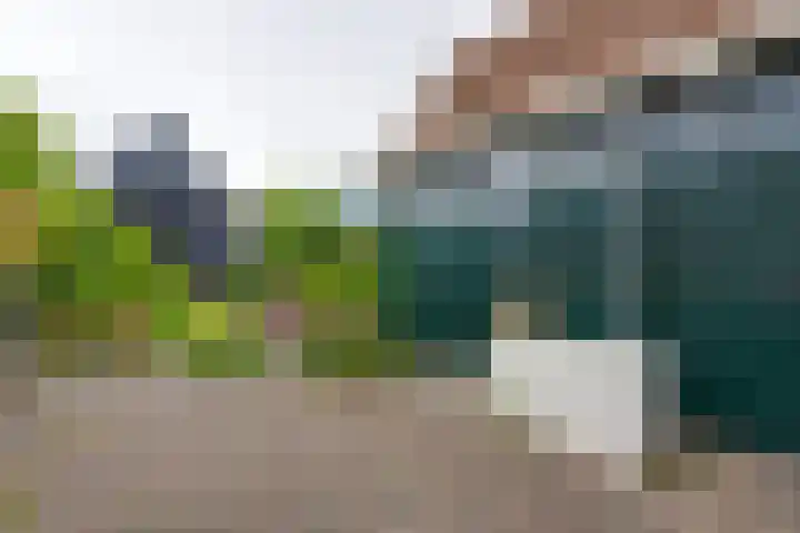 Sluiskade 7 West-Graftdijk thumbnail 43