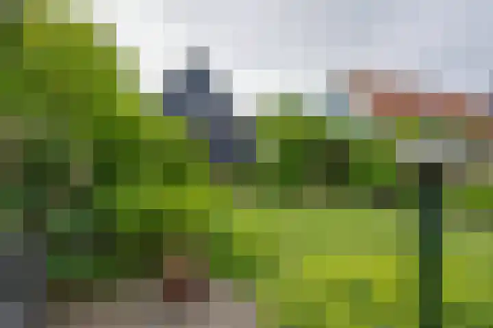 Sluiskade 7 West-Graftdijk thumbnail 44