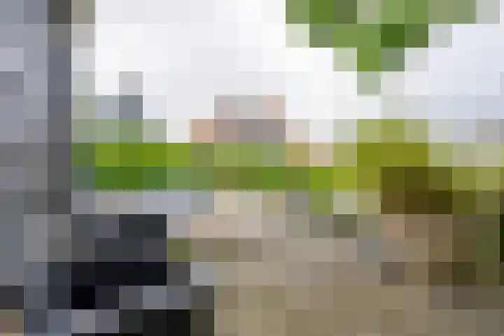 Sluiskade 7 West-Graftdijk thumbnail 46