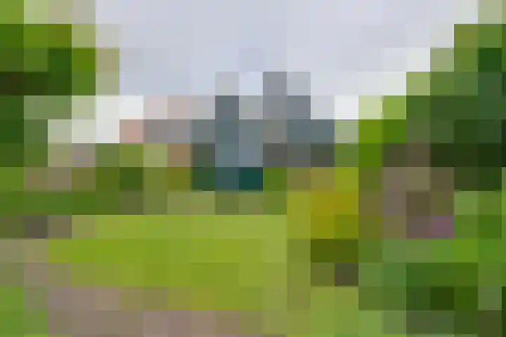 Sluiskade 7 West-Graftdijk thumbnail 50