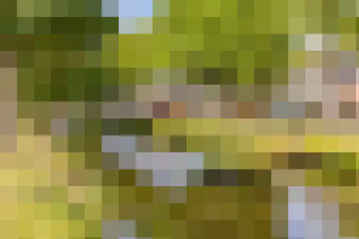 Sluiskade 73 Musselkanaal thumbnail 13