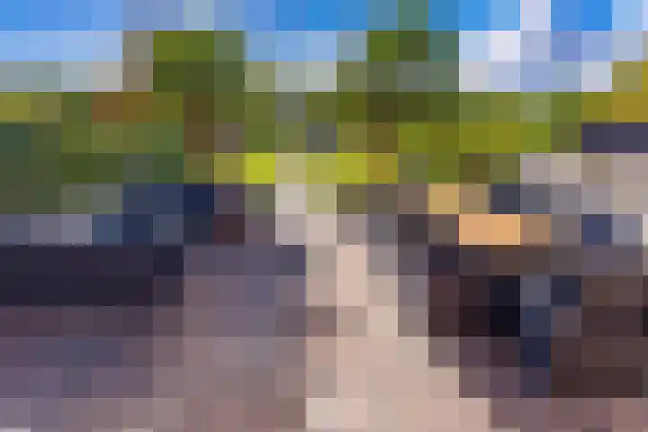 Sluiskade 73 Musselkanaal thumbnail 4