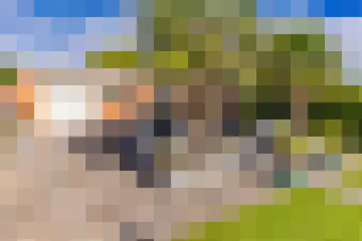 Sluiskade 73 Musselkanaal thumbnail 5