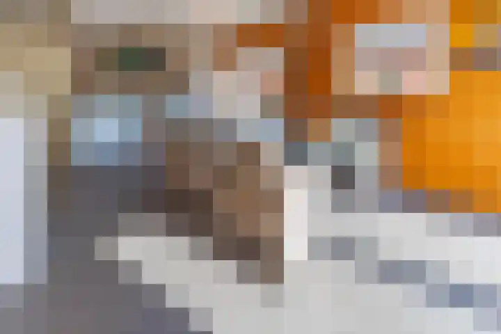 Sluiskade 73 Musselkanaal thumbnail 54