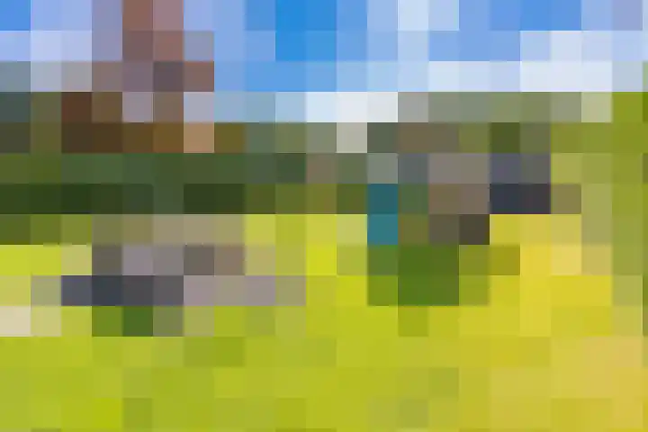 Sluiskade 73 Musselkanaal thumbnail 59