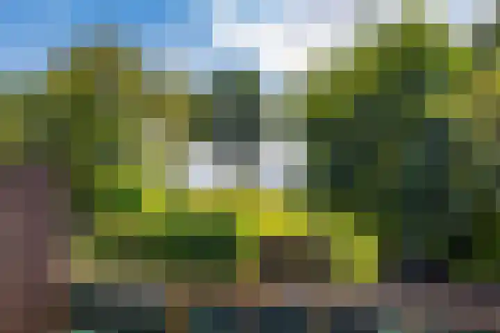 Sluiskade 73 Musselkanaal thumbnail 62