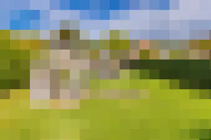 Sluiskade 73 Musselkanaal thumbnail 63