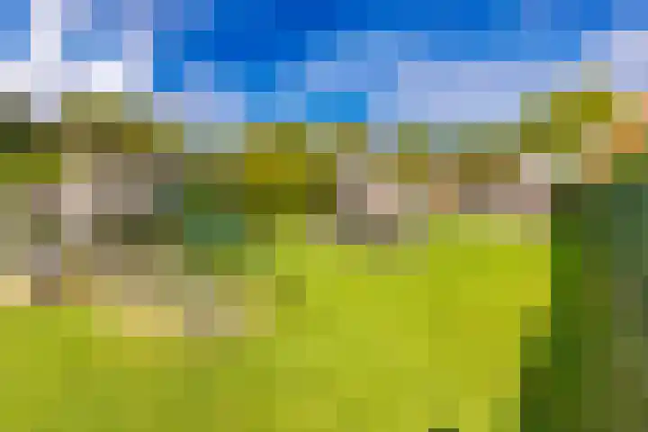 Sluiskade 73 Musselkanaal thumbnail 64