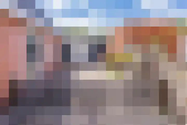 Sluiskade 73 Musselkanaal thumbnail 7