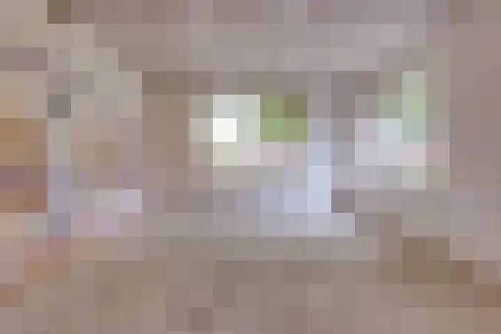 Sluiskade 78 Musselkanaal thumbnail 10