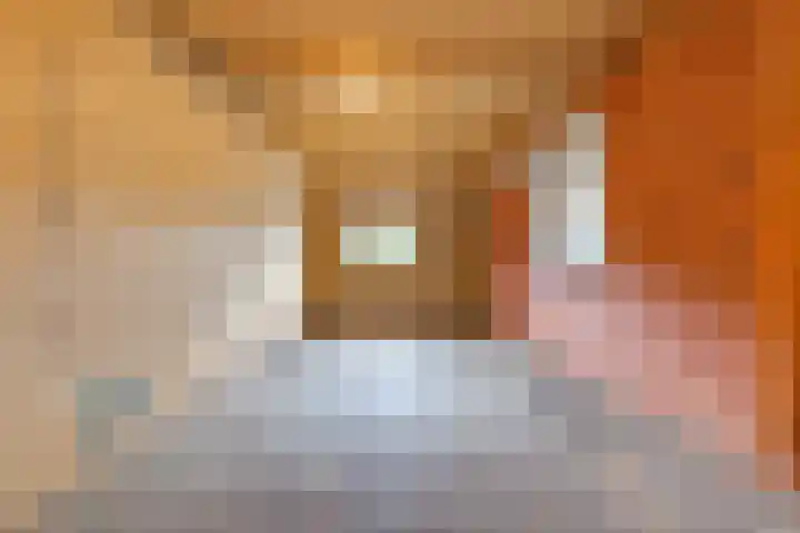 Sluiskade 78 Musselkanaal thumbnail 30