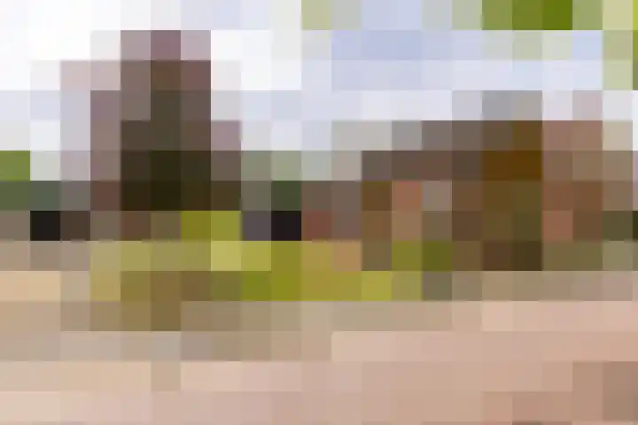 Sluiskade 78 Musselkanaal thumbnail 33