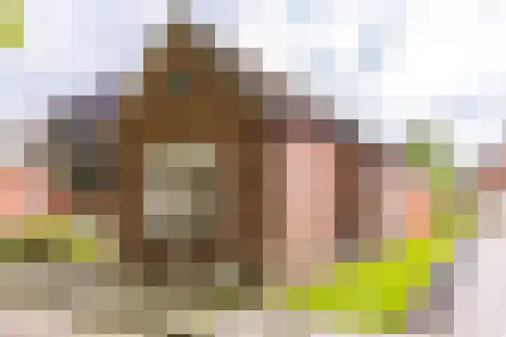 Sluiskade 78 Musselkanaal thumbnail 4