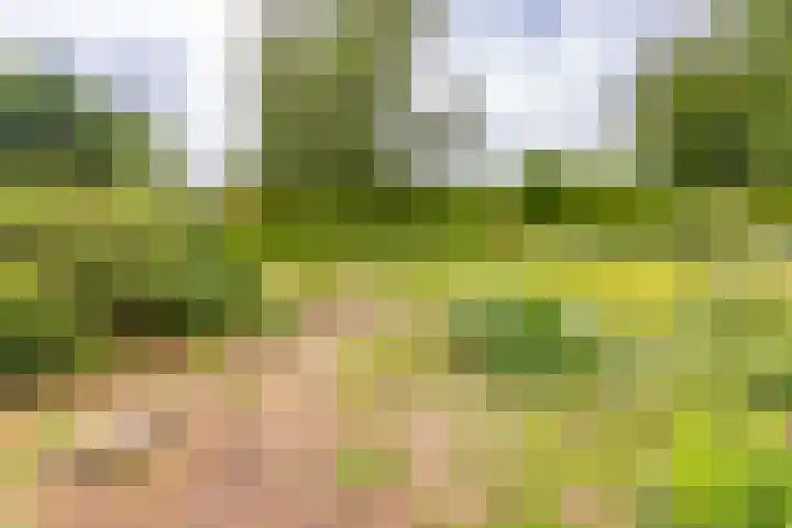 Sluiskade 78 Musselkanaal thumbnail 44