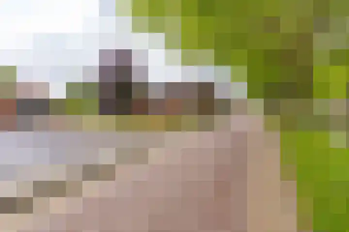 Sluiskade 78 Musselkanaal thumbnail 6