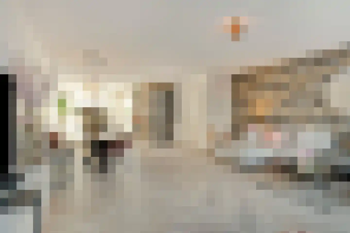 Sluiskade 88 Spijkenisse thumbnail 11