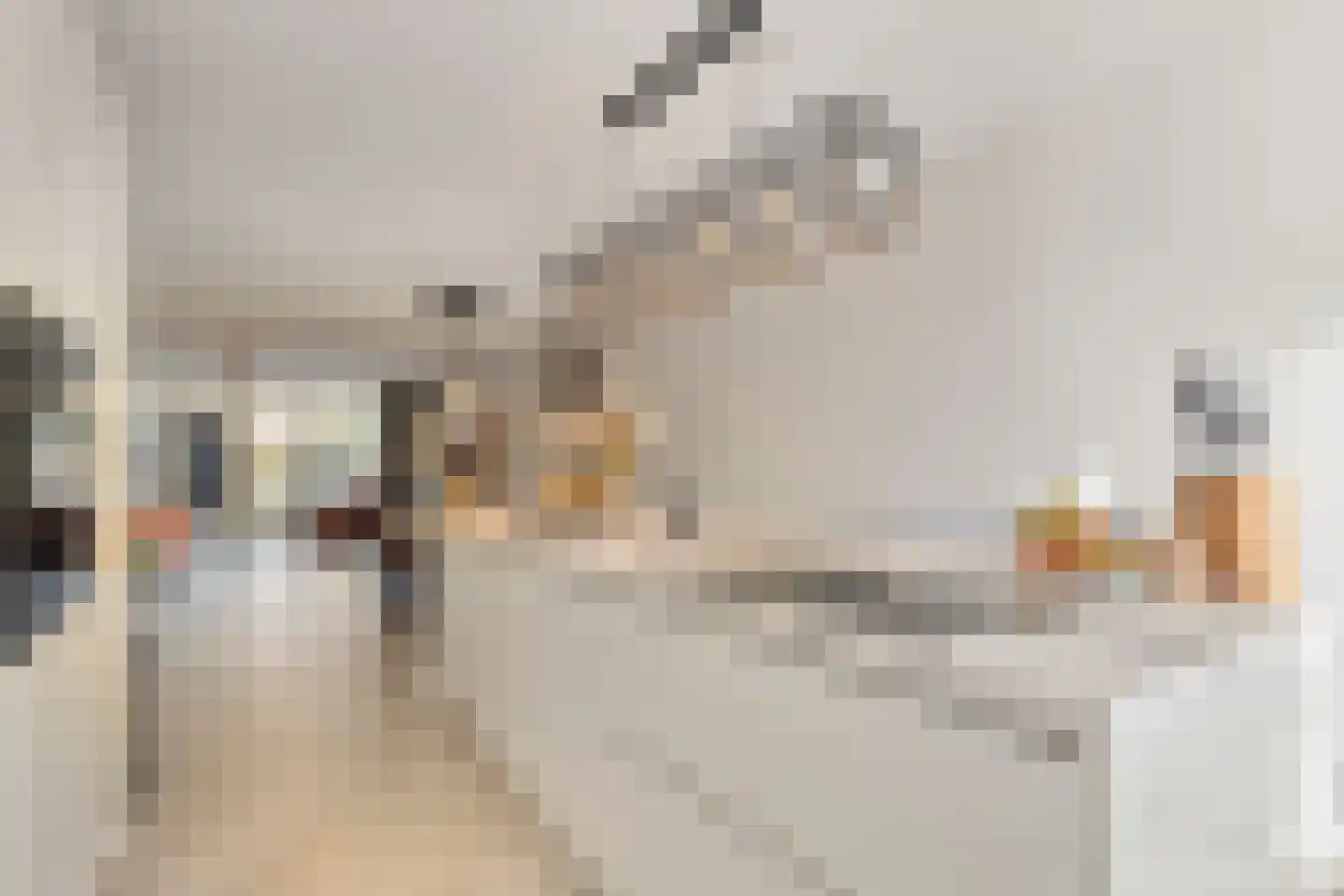 Sluiskade 88 Spijkenisse thumbnail 15