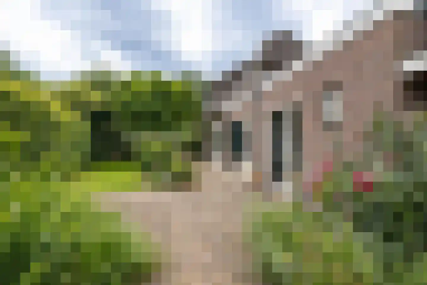 Sluiskade Noordzijde 124 Almelo thumbnail 27