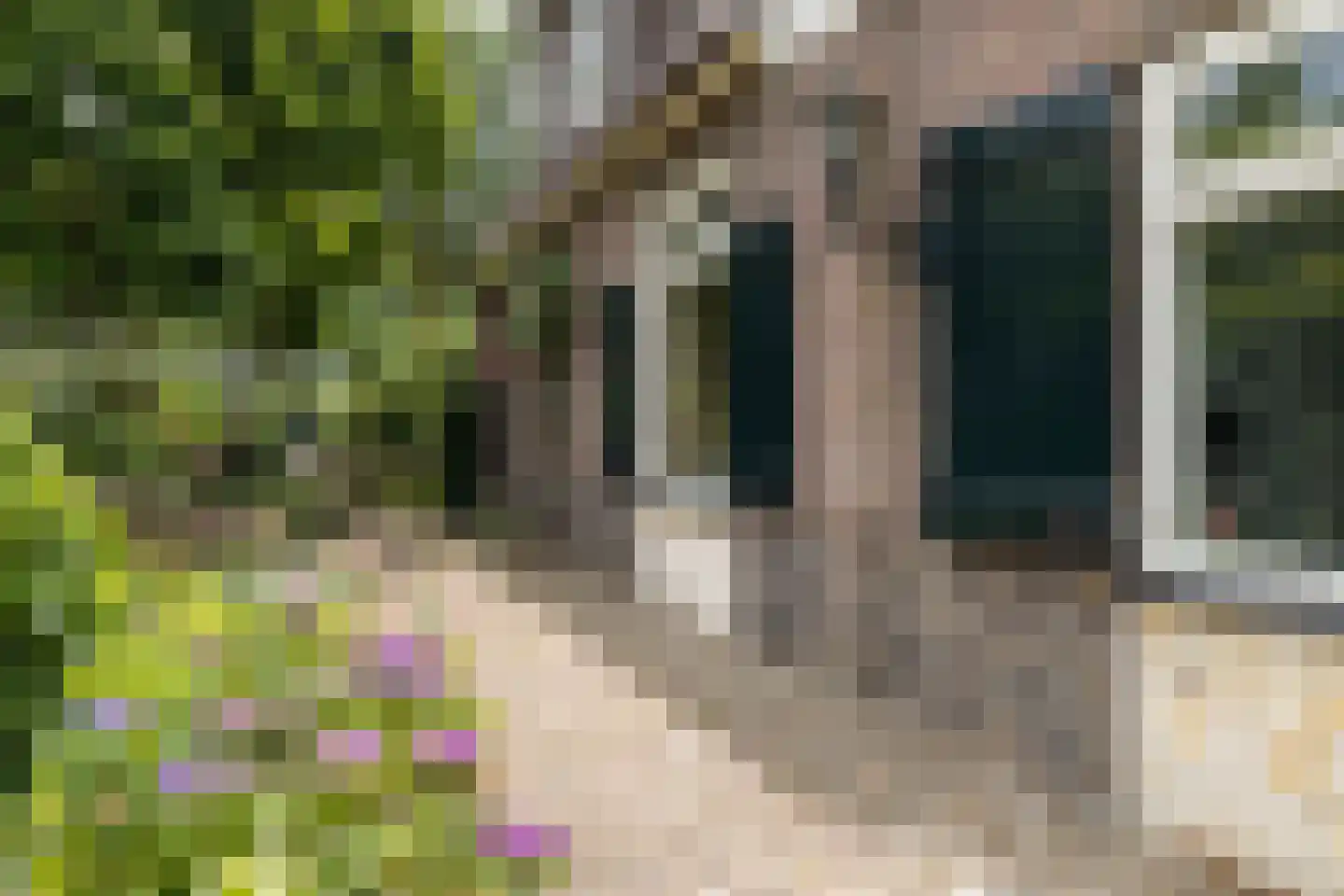 Sluiskade Noordzijde 124 Almelo thumbnail 28