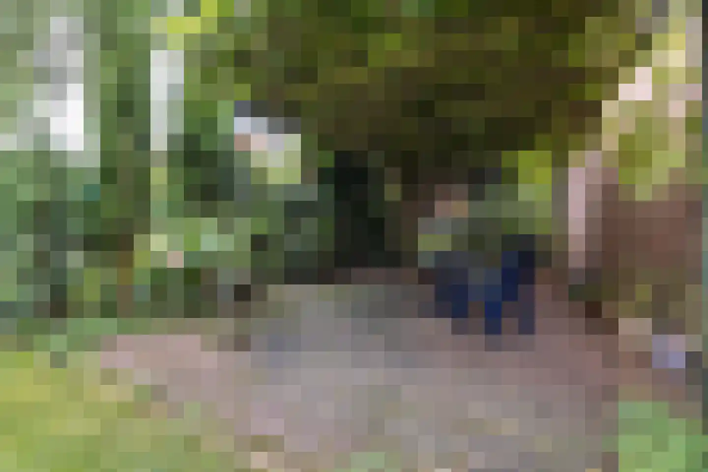 Sluiskade Noordzijde 124 Almelo thumbnail 32