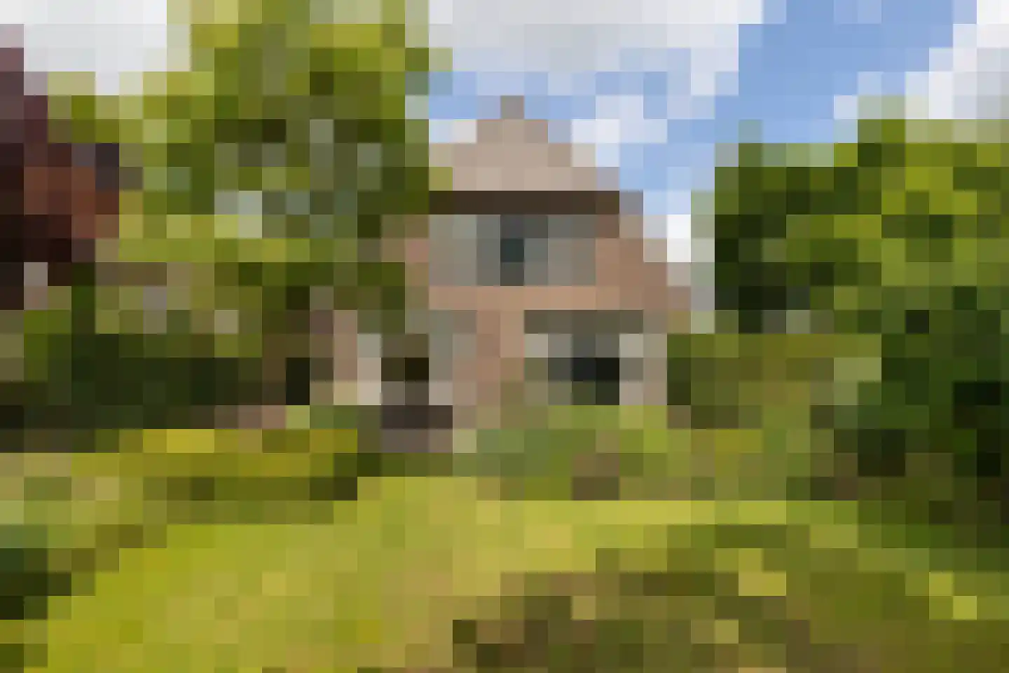 Sluiskade Noordzijde 124 Almelo thumbnail 37