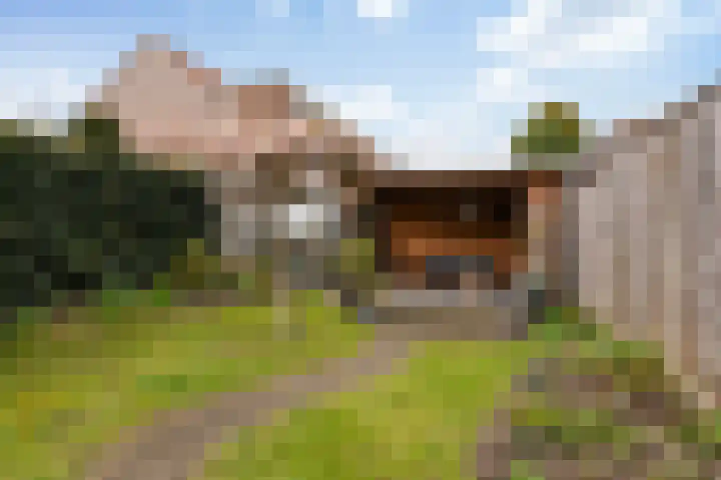 Sluiskade Noordzijde 136 Almelo thumbnail 38