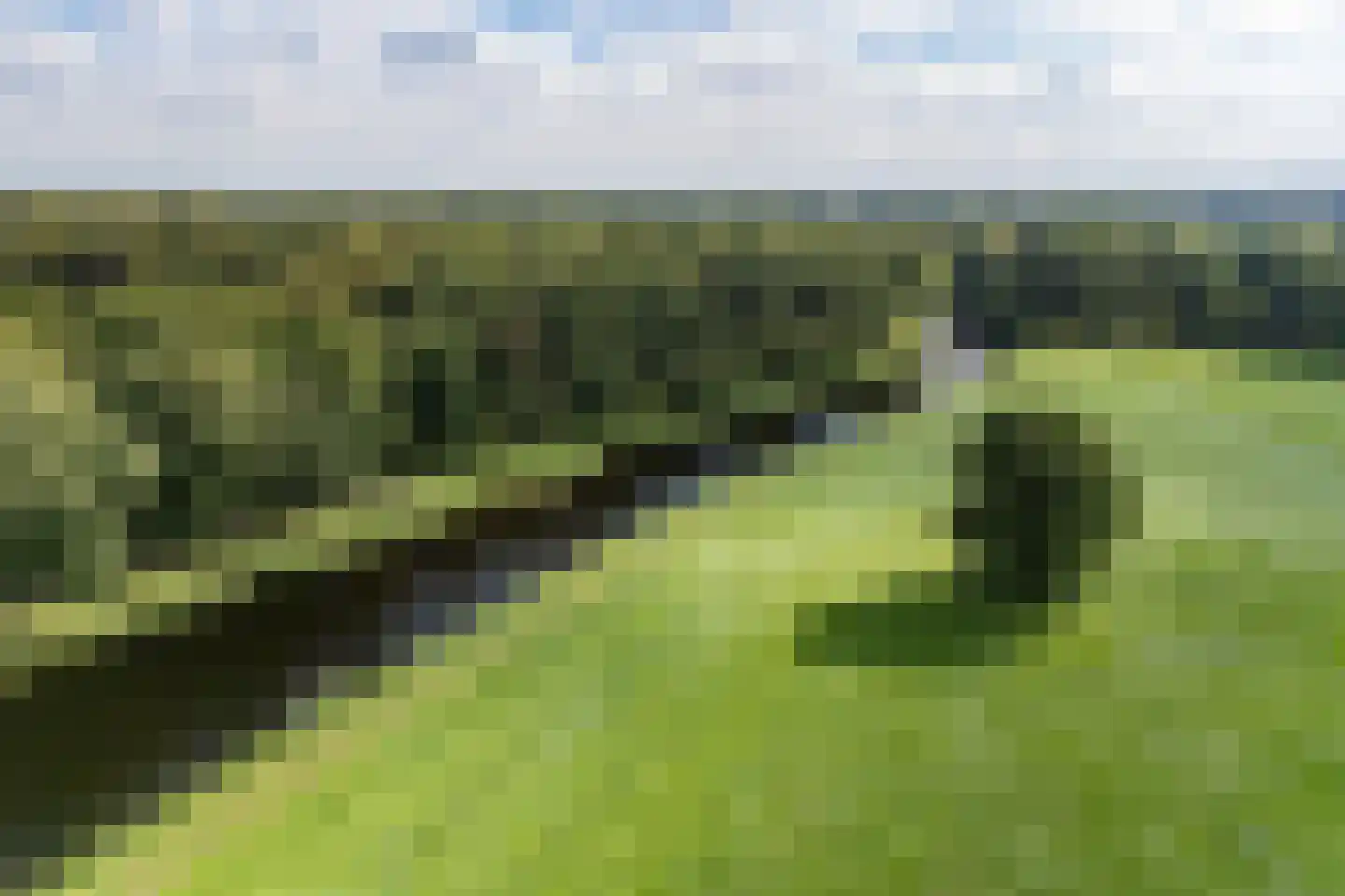 Sluiskade Noordzijde 164 Almelo thumbnail 36
