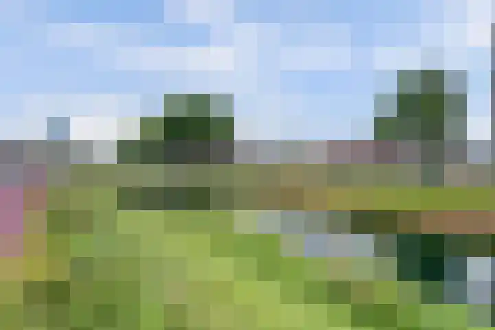 Sluiskade Noordzijde 44 Almelo thumbnail 44
