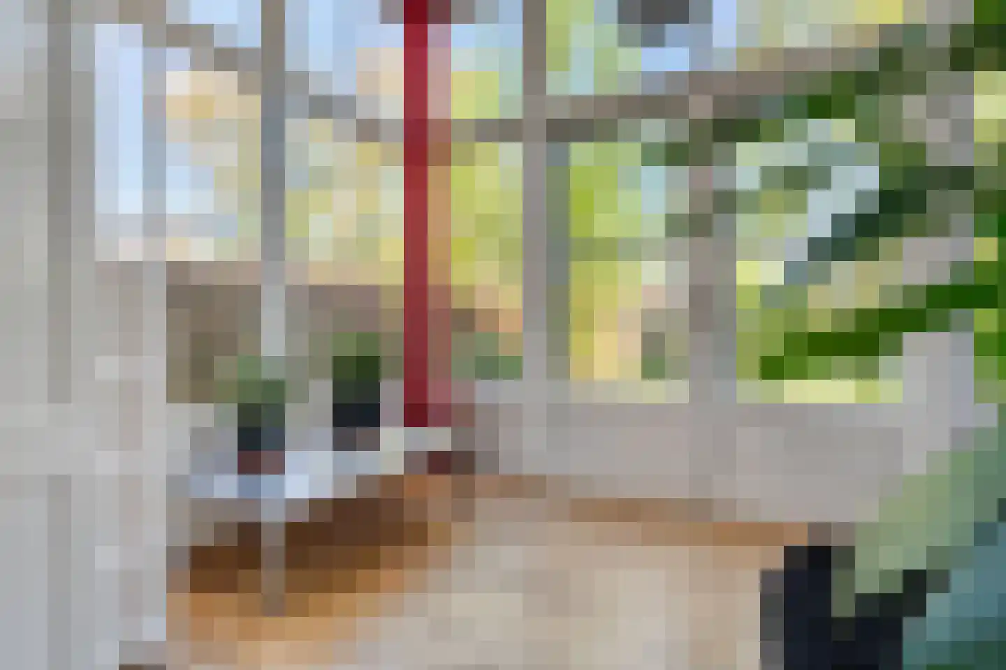 Sluiskade Noordzijde 98 Almelo thumbnail 18